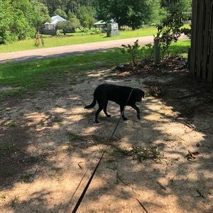 Meet your Posher, Laney